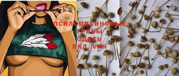 мяу мяу мука Белоозёрский
